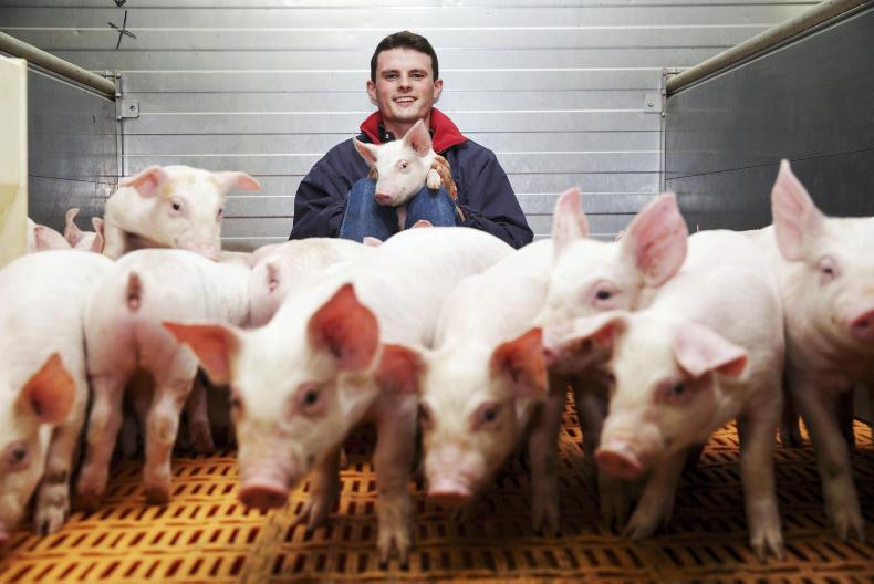 Agri jobs pig stockperson and tractor driver required Free