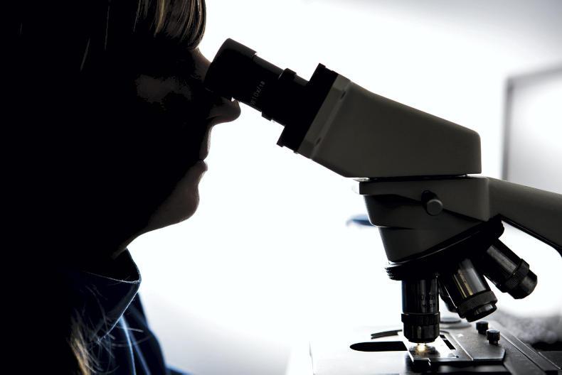 Praise for farmer and vet involved in BSE case