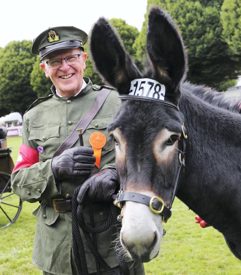 RINGSIDE STORIES: Professor Michael Stephens in rememberance