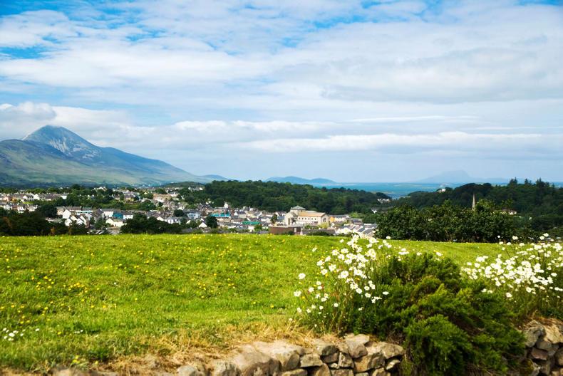 Living Life: This week's top five                                       