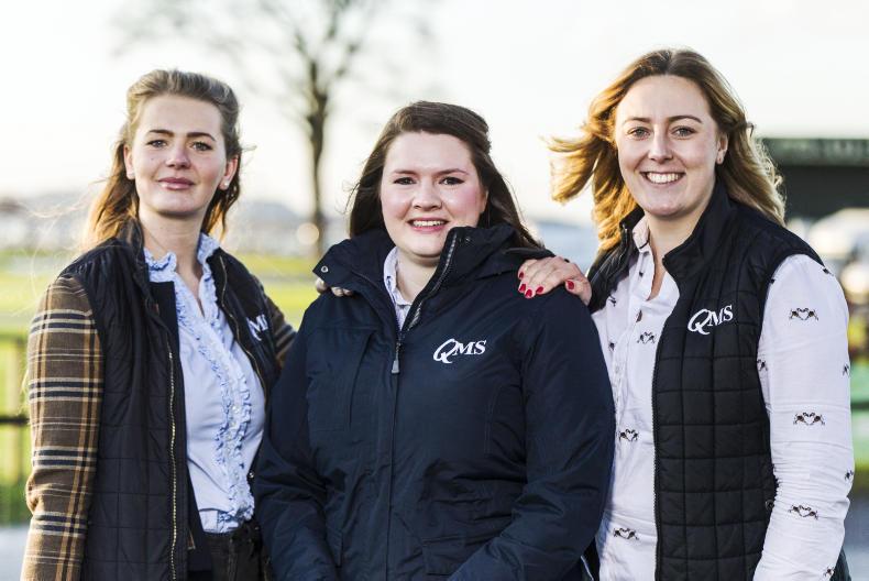 Examining beef and lamb’s environmental credentials