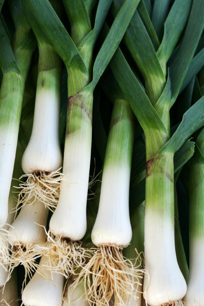 GIY: In praise of the humble leek