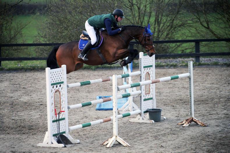 Review: regional leagues a popular way to produce horses  