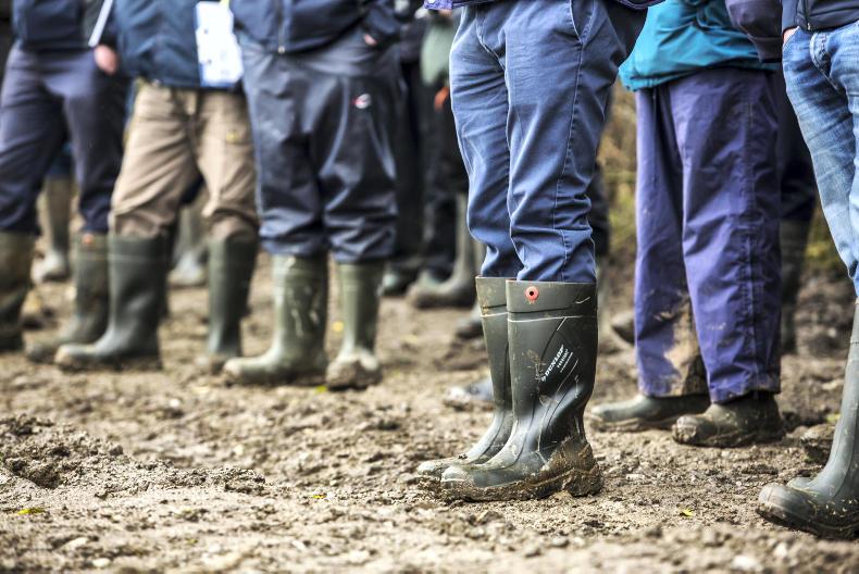 Farmers are you getting enough sleep? 31 December 2018 Premium