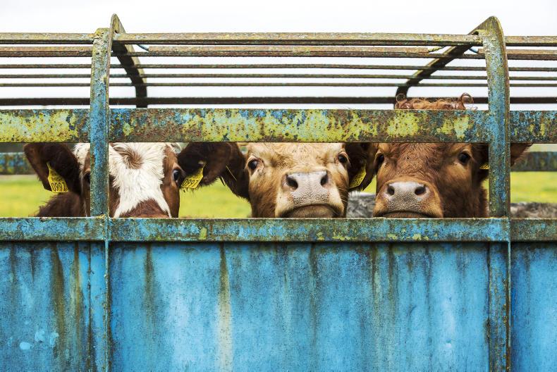 Farmers turned away as vets revolt in factories Premium