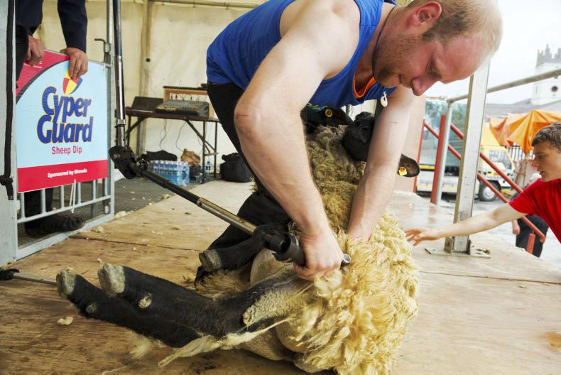 World championships shearing team named Premium