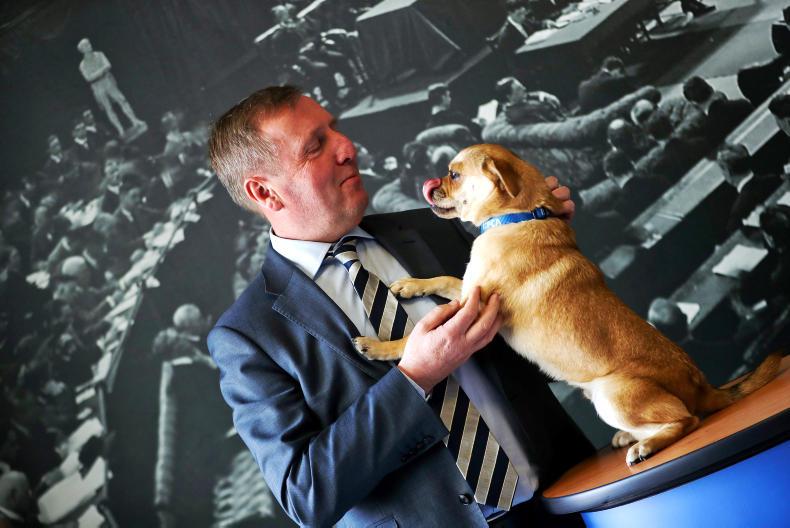 Department to pay €2.75m to animal welfare organisations