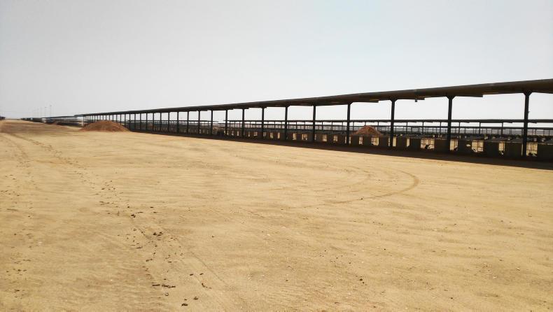 Saudi farms importing 100%  of fodder