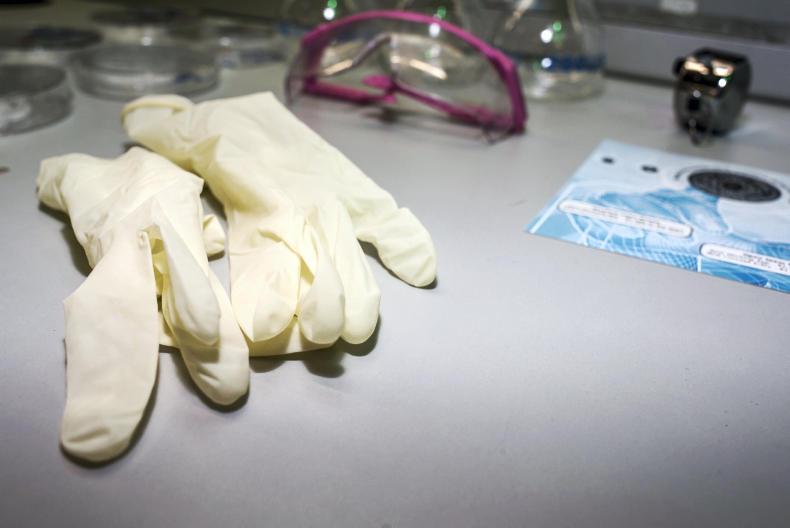 Living Life: this week's top five