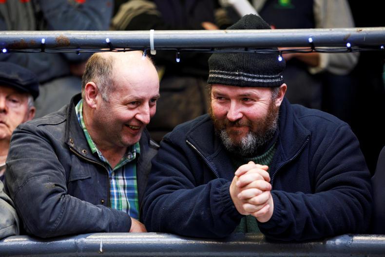 The Big Dealer: tillage farmers rocking to the beet?