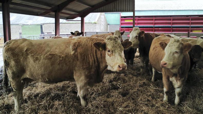 Farm Profit Programme: benchmarking your business – where to start