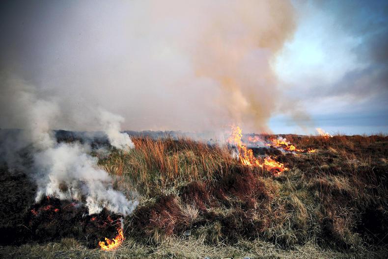 Calls for burning extension     