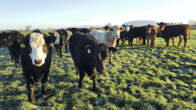 Farmer writes: time for farmers to fight back