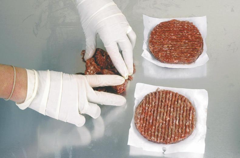 The great beef debate essay 03 image