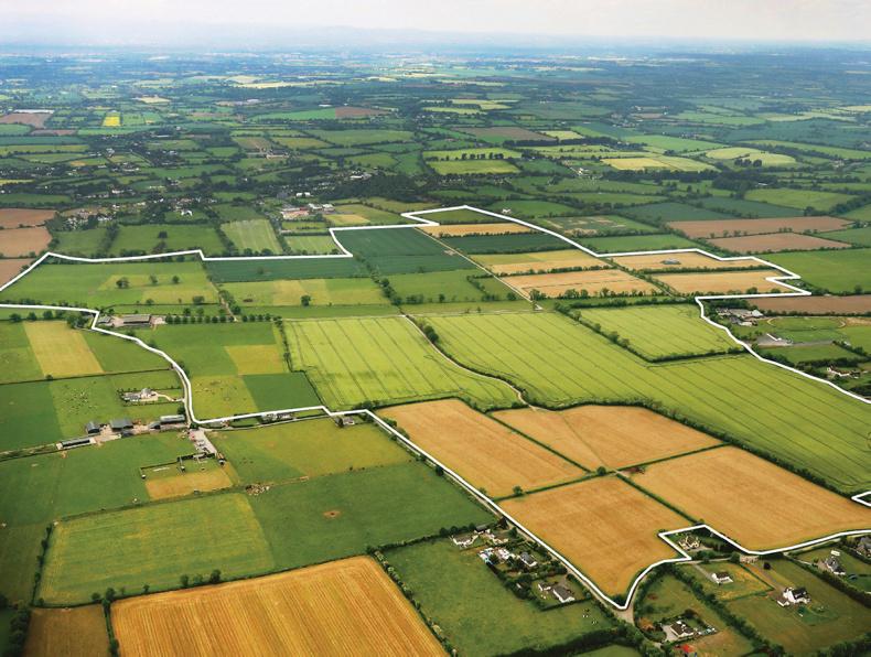 Land Price Report speculator interest dominates Dublin Premium