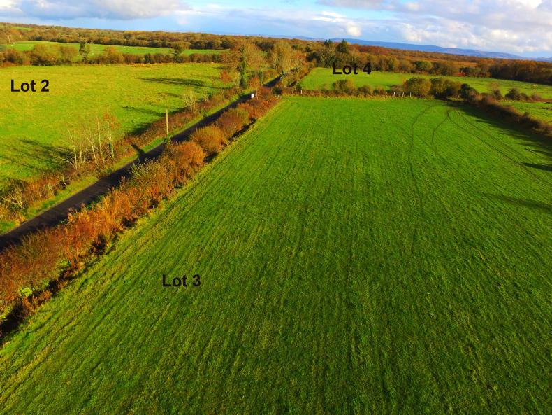 Land Price Report Mayo prices at a fiveyear low Premium