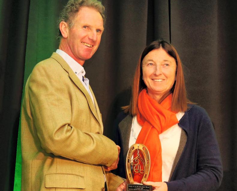 'You need a good quality mare and a top-quality stallion'