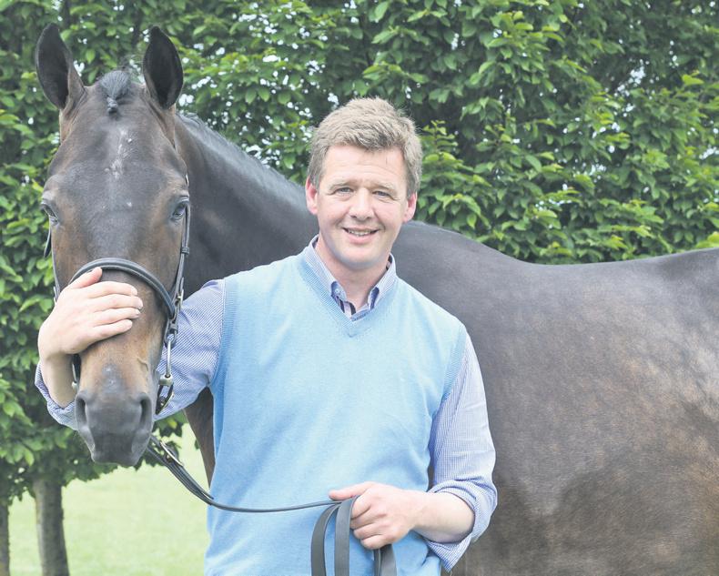 Family affair of bloodstock and farming 