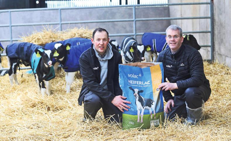 Heiferlac is the milk replacer of choice on award-winning dairy farm