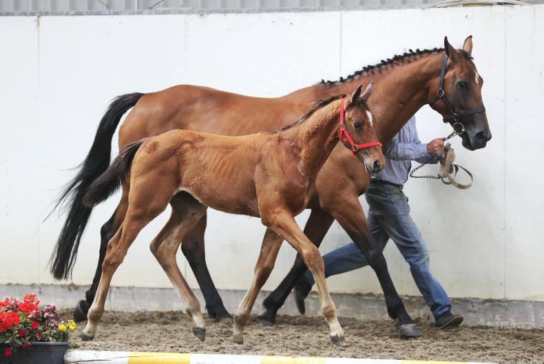 Crunching the numbers on 2018's performance sales