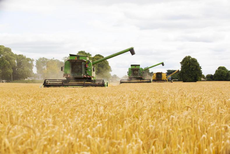 'Farmers do not feel part of the brewing and distilling success story'