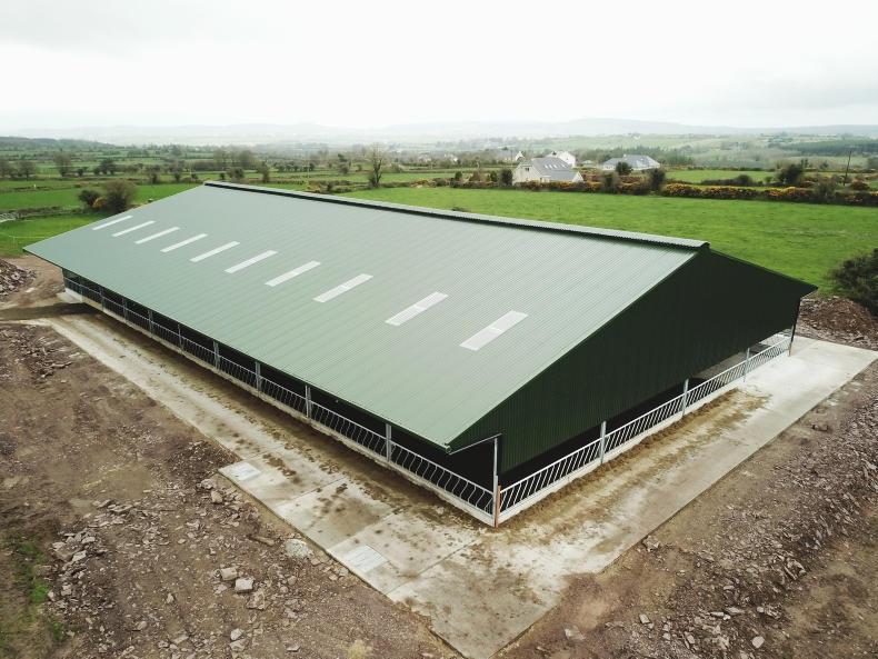 Watch top class 160cow cubicle shed Premium