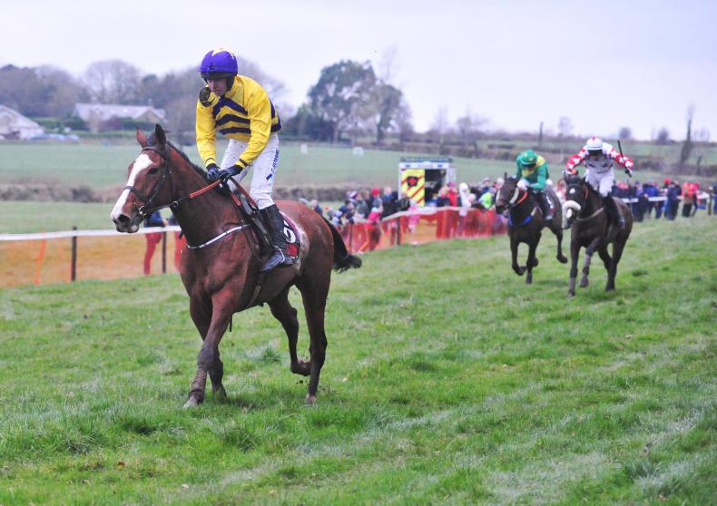 All roads lead to Ballynoe for the GAIN Mares Series Final