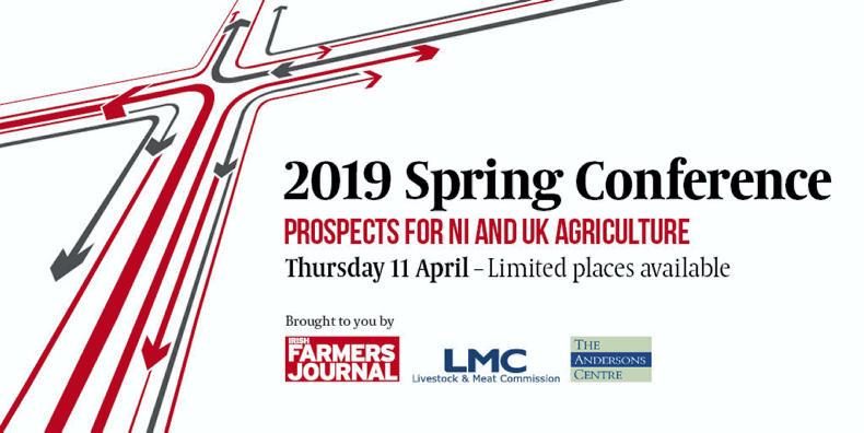 2019 Spring Conference: prospects for NI and British agriculture