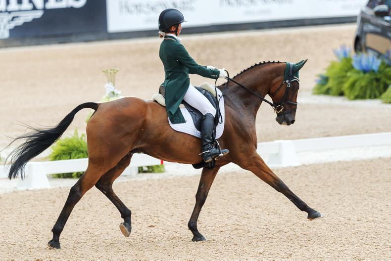 Exciting time for Irish breeding 
