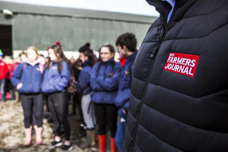 Watch: Dairylink farm walks taking place this week