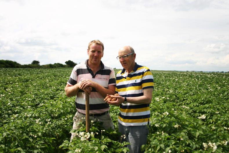 20 minutes with Ned English, Castlecor Potatoes