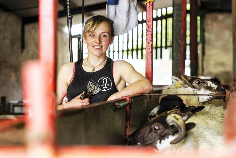 WATCH: Shear dedication with Joanne Devaney