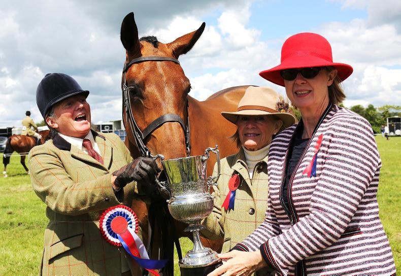 Quality galore at Gorey       