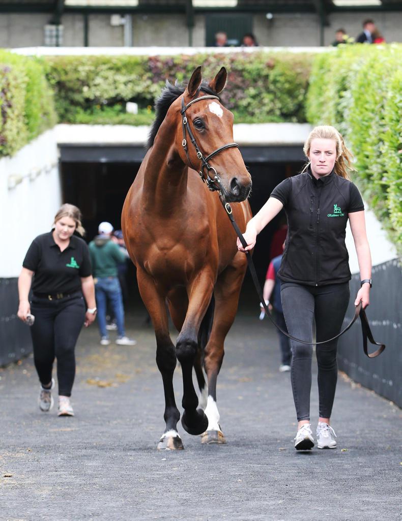 Record breaking trade at Goffs Land Rover Sale 