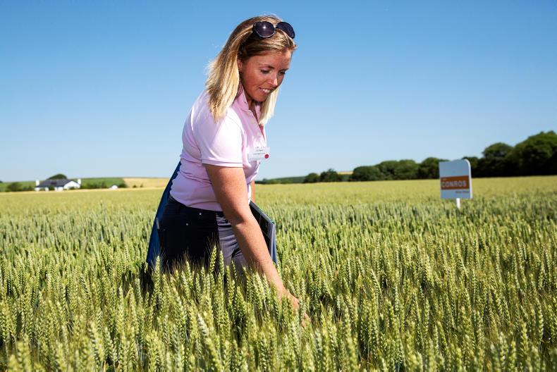 20 minutes with Liz Glynn, Corteva Agriscience