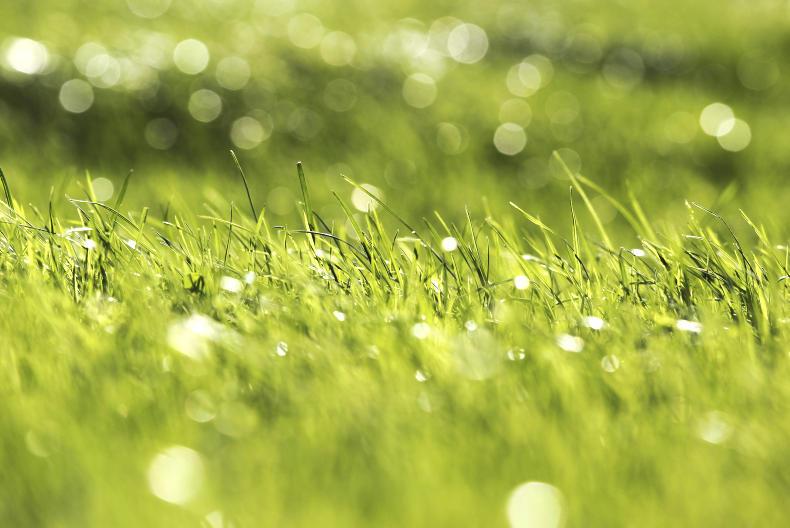 Who will be the 2019 NRN Biodiversity Farmer of the Year?