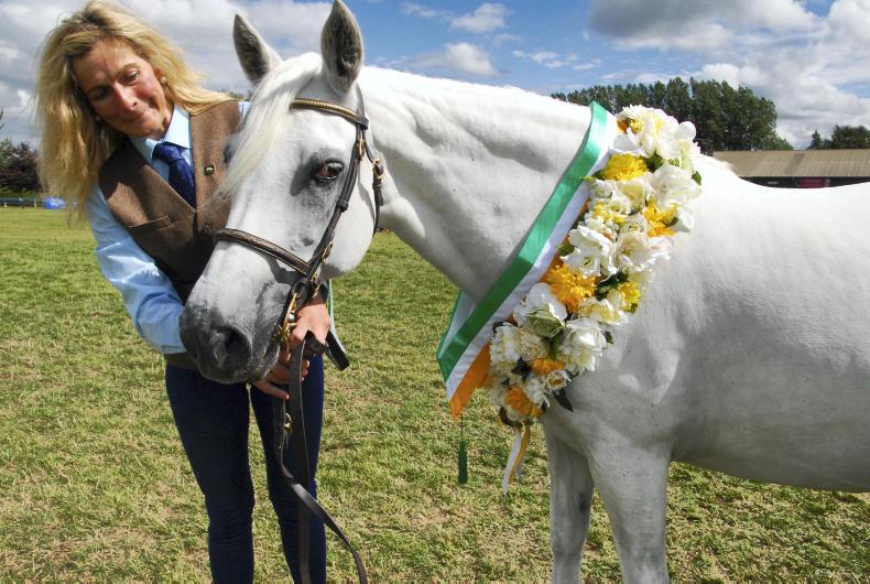 Advertorial: exciting times ahead for Midlands Connemara Pony Group