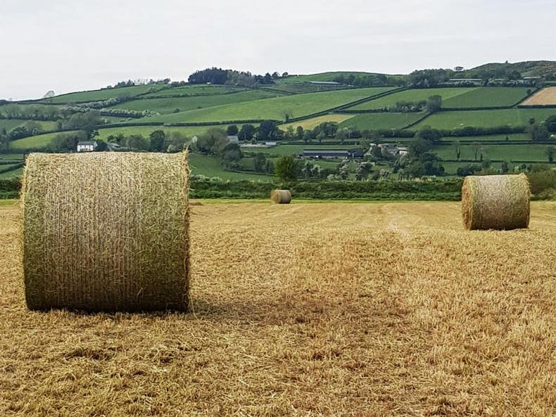 Farm Finance traditional hay meadows deadline Premium