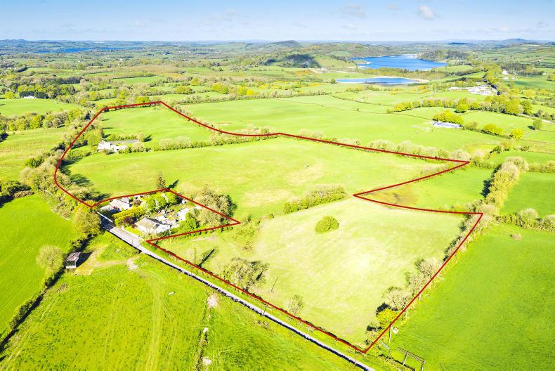 Meath property draws equestrian interest 