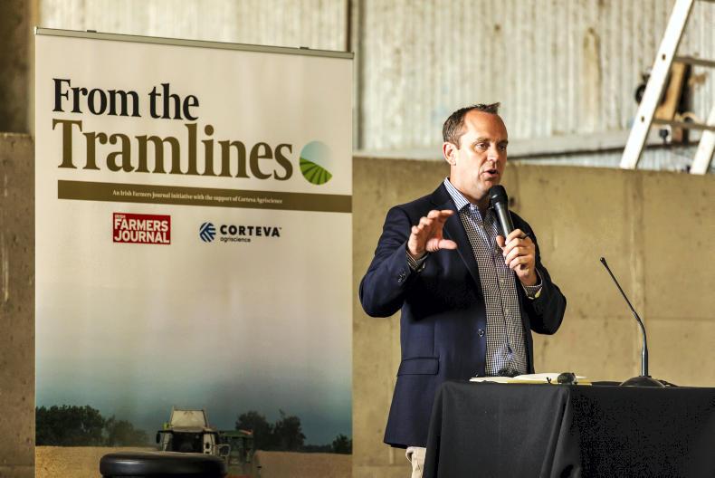 In pictures: sun shines at From the Tramlines farm walk 