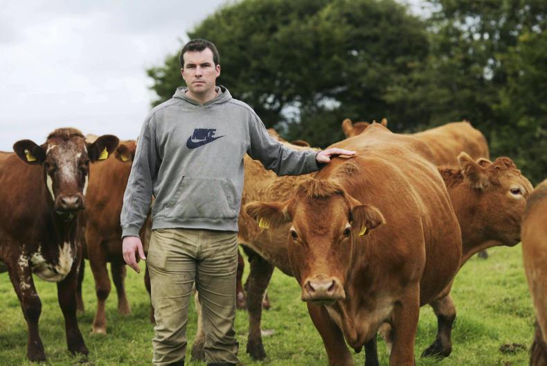 Farmer Writes: triple threat facing beef farmers