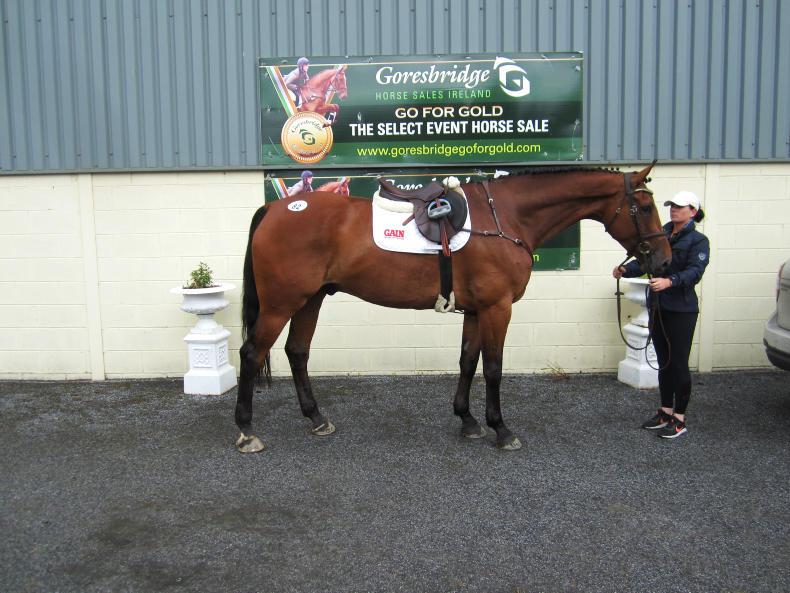 Young horses in demand at Goresbridge