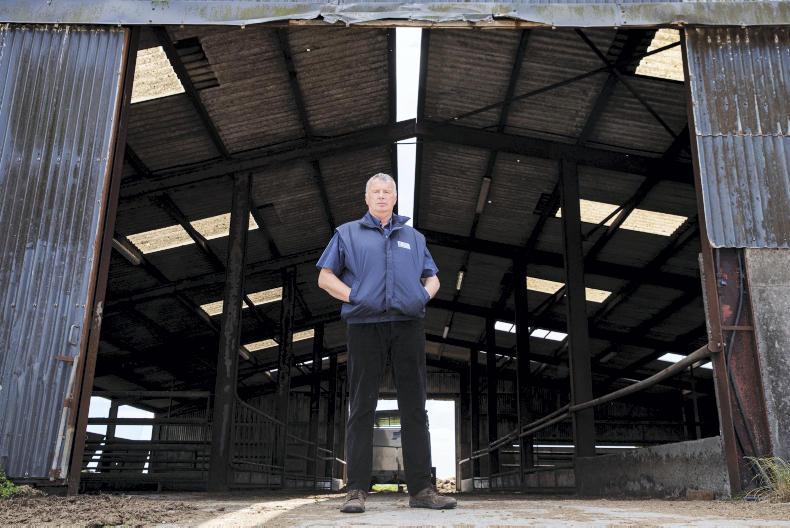 Beef farmers losing money ‘hand over fist’ Premium