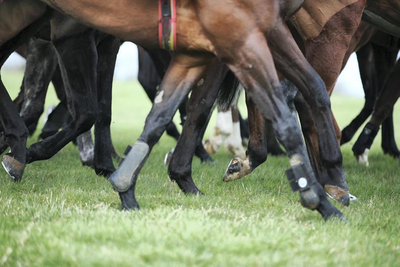 ITBA launches new management development workshop 