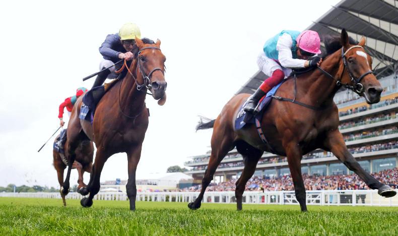 Brilliant Enable edges King George classic