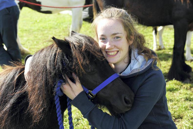 All systems go ahead of Puck Fair