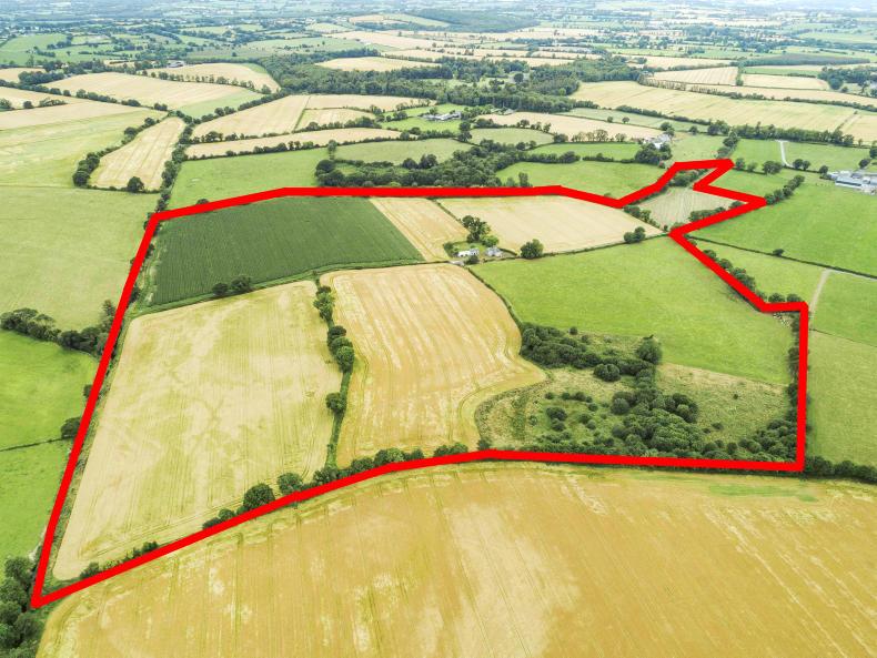 Topquality 66ac Carlow farm Premium