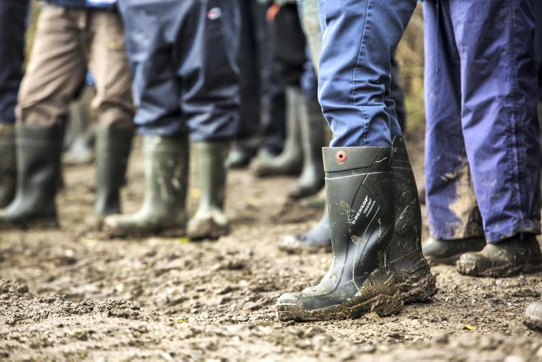 Big Week on the Farm returns to our screens