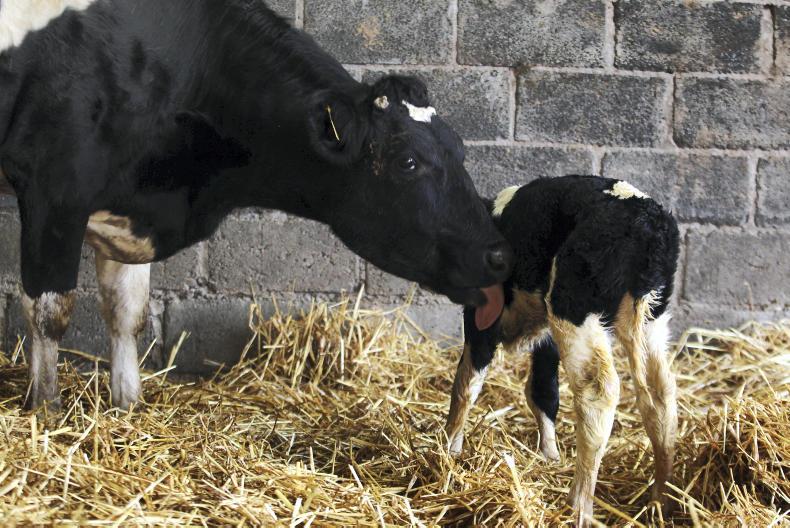 Johne’s plan added to Red Tractor standard Premium