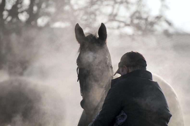 Mayo’s man of the horse       